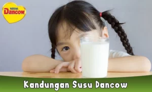 Kandungan Susu Dancow 1 3 Tahun dan Dewasa