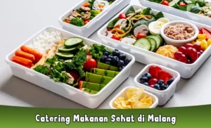 Catering Makanan Sehat di Malang Diet Mayo Harga Murah