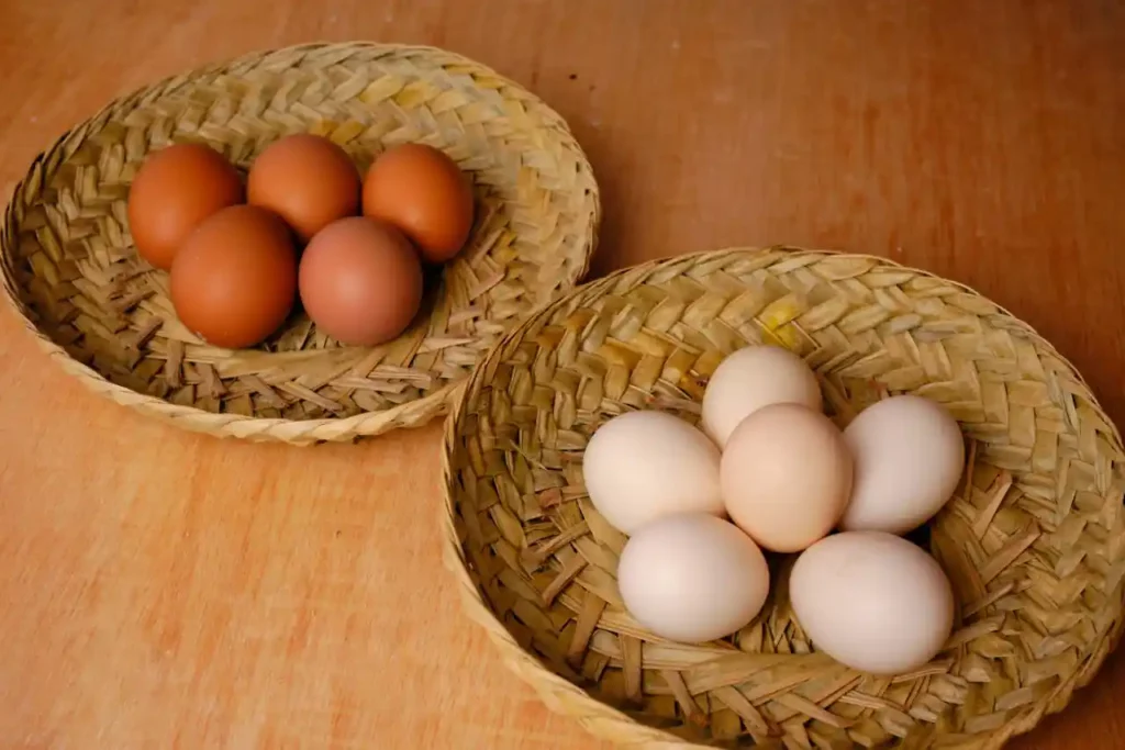 Kandungan Telur Ayam