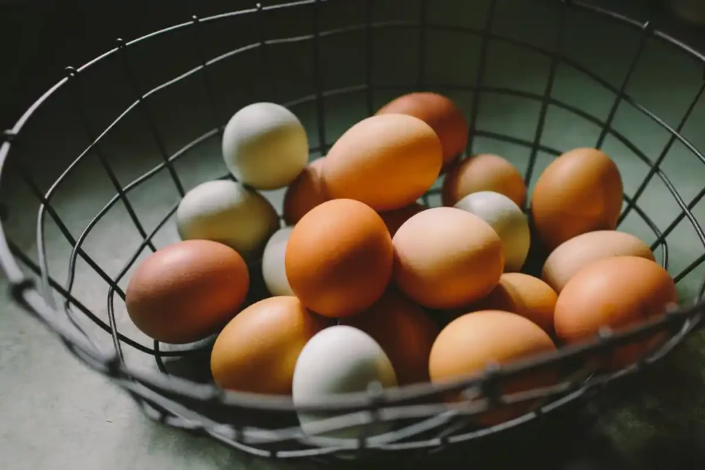 Telur Ayam Broiler